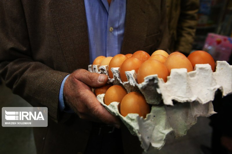 🔸 ביצים ניידות; פצצות שקטות של הרעלת מזון