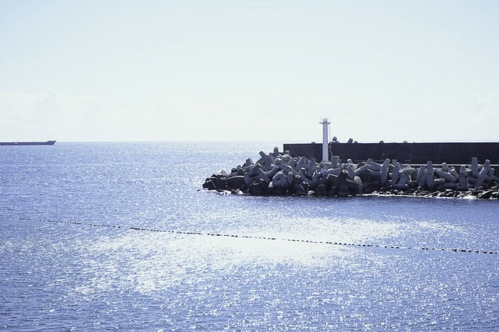 南方澳的吻仔魚 | Whitebait in Nanfang’ao