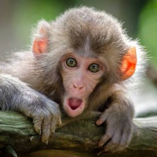 👉🏻 Best YouTube Videos — Watch & Download Telegram Group Link