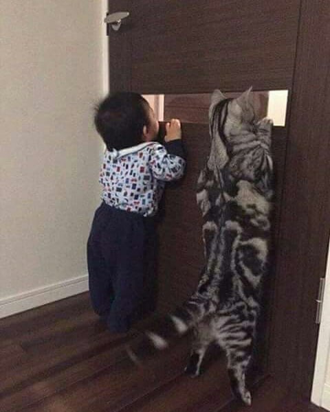 ❣️ دل‌نوشته‌ها: یعنی دارن چی میبینن😅😅😅