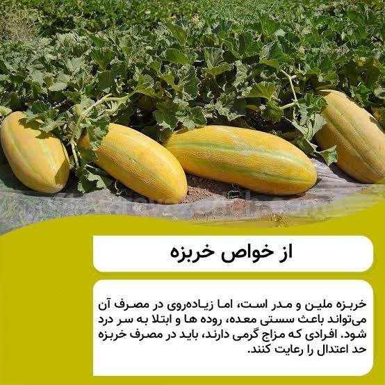 مرکز طب اسلامی-درمان: #خربزه1- رفع كننده يبوست و كمك كننده به هضم غذا، افزاينده ادرار و دفع كننده كم خوني و سنگ مثانه و توليدكننده عرق در بدن.