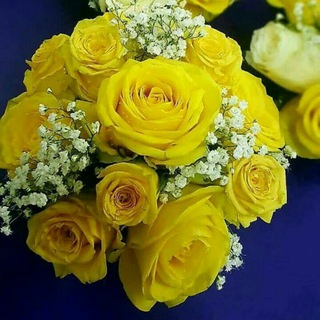 Telegram profile photo for Gif табрикларZamzamaS💐💐💐