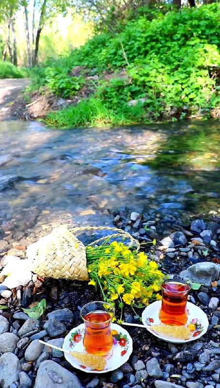 آرامش با 💐|RangiRangi: خوردن یک چای خوشرنگ در همچین طبیعت بکر و زیبایی واقعا لذت‌بخشه🌱#چای 🆔@RangiRangitel 🍭