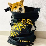KAI - Guardian Dog BNB