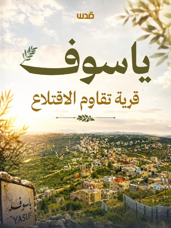 مستوطنون ينشئون بؤرة استيطانية بالقرب من قرية ياسوف