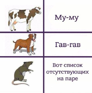 Сегодня празднуется Всемирный день крысы