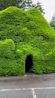 Located in County Meath, Ireland, this stunning 300-year-old Yew Tree Tunnel at Gormanston Castle is a living architectural marvel.