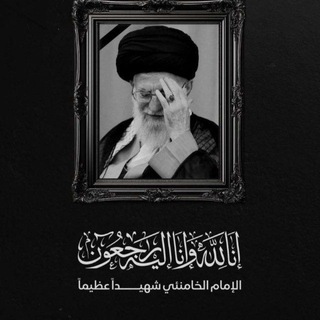 Telegram profile photo for صور الشهيد ابو مهدي المهندس