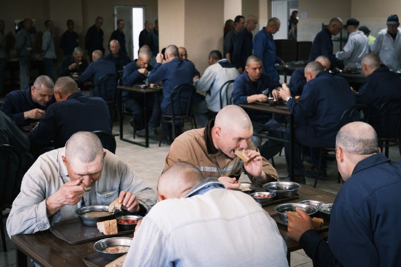 מחברת הכתב: ביקור במחנה שבויים הוא התרופה הטובה ביותר לאהדה לחיילים רוסים