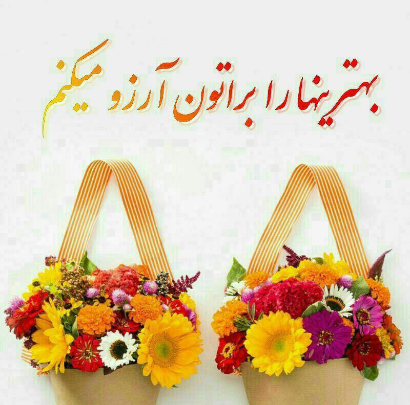 🫂همدلی🫂: چهار چیـز برایتـان آرزو میکنـم 🙏نگاه خدا🌺🍃سلامــتی🌺🍃آرامــــش🌺🍃شــــادی🌺🍃زندگیتون سرشارازعشق و امید ❤️@Hamdeli20 🌺🍃