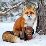 Лисичкины истории
