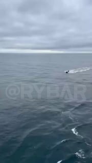 כאן מגיע ה-USV & #33; מי משתק את המשלוח האוקראיני? במשך יותר מחודש, בולגרי ורומניה שואלים: איזה מזל"טים להט…