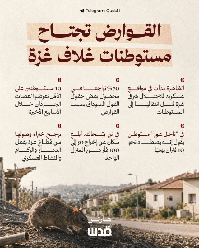 נגיעות חסרת תקדים של עכברים וחולדות לתוך ההתנחלויות הסובבות את רצועת עזה.. מה קורה?