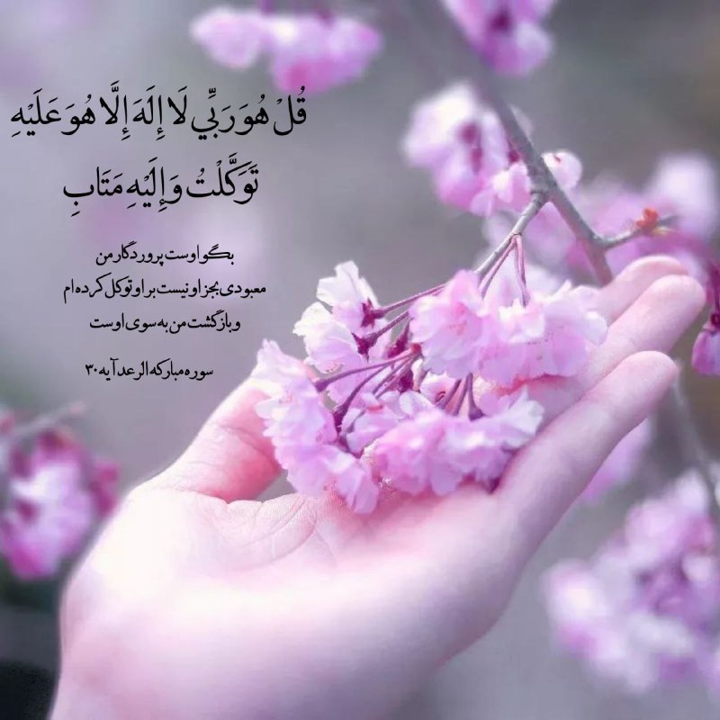 ⚘دُعاهایِ سَریعُ اِلاجابِه اَذکارِمَعنَوی⚘: ✨قُلْ هُوَ رَبِّي لَا إِلَهَ إِلَّا هُوَ عَلَيْهِ ✨تَوَكَّلْتُ وَإِلَيْهِ مَتَابِ ﴿۳۰﴾✨بگو اوست پروردگار من ✨معبودى بجز