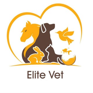 Elite vets
