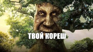 У жителя Якутии в глазу чуть не выросло дерево — семечко закатилось под веко, когда он гулял по лесу, и пустило корни. 42-летний Слепцов напоролся на ветку. Через несколько дней у него стала постоянно болеть голова, а затем — глаза. Оказалось, что четыре м