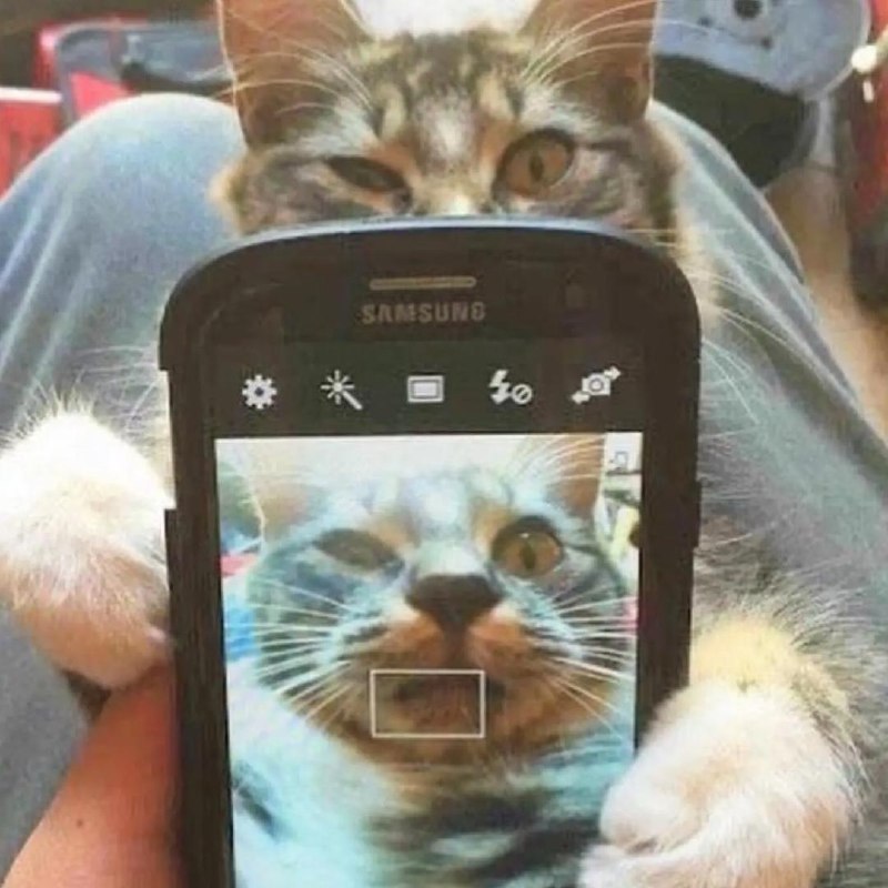 Image from a post by ФРИЛАНСИКИ