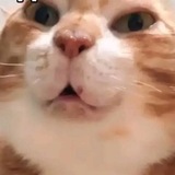 Жестко про сглыпу!