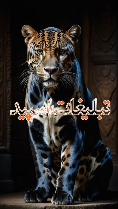 لینکدونی | linkdoni | لینکدونی تلگرام | کانال لینکدونی | لینکدونی گروه تلگرام: ❶﹚ نام : پناه❤️❤️❷﹚ نو؏ تبلیغات : #telegram❸﹚ توضیحات :🔮 به گروه خودتون خوش اومدین 🔮🕎 قوانین گپ؛ محدودیت سنی ازاد🎤 ویسکا