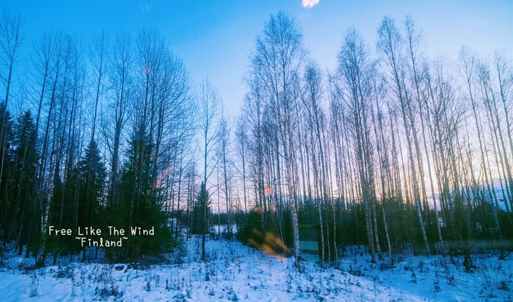 赫爾辛基到羅瓦涅米 不可少的10個訣竅 (交通、住宿、地圖、美景、經驗談)