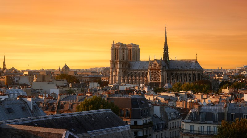 The comeback of Notre-DameNotre-Dame Cathedral, Paris, France (© Julien Fromentin/Getty Images)