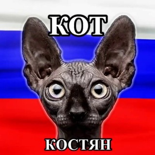 Telegram profile photo for Кот Костян - официальный канал🇷🇺