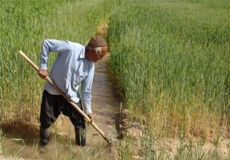 خوزستانآنلاین ࡆ اخبار جنگ بندرعباس اهواز: ✅ #هشدار ✅ هشدار به کشاورزان؛ محصولات زراعی خود را بیمه کنید✅ با توجه به هشدارهای هواشناسی درباره احتمال وقوع بارشها