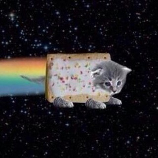 Despacito 💥 (๑ᴖ◡ᴖ๑)