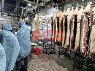 В Красноярском крае школьникам провели экскурсию на скотобойне. Часть детей отказались заходить в разделочные цеха, в школе их назвали «слишком чувствительными». Об этом сообщает ачинский телеграм-канал «Оса».По данным канала, экскурсию организовали для 14