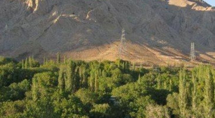 شبکه اطلاع‌رسانی مرآت: وقتی نظارت به حاشیه می‌رود؛آخرین نفس باغ‌های شهمیرزاد📌هر روز که می‌گذرد، یک باغ شهمیرزاد به ویلا تبدیل می‌شود؛ طرح حکاک 