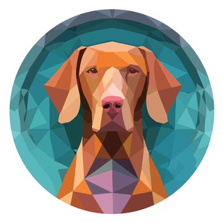 Hungarian Vizsla Inu MAGYAR 🇭🇺