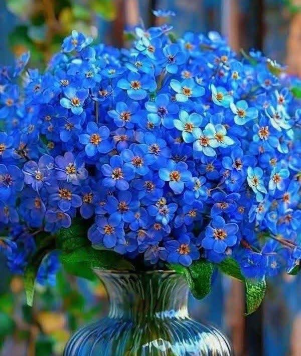 🌹شـــیـخ نخـــودکی اصفهـــانی🌹: با نـام "خدیجه" هـــــر لبـی وا بشود خشنود دل حضــــرت زهـــــرا بشوددربـــاره او رســـــول اکـــــرم فرمود:هیهات که چون