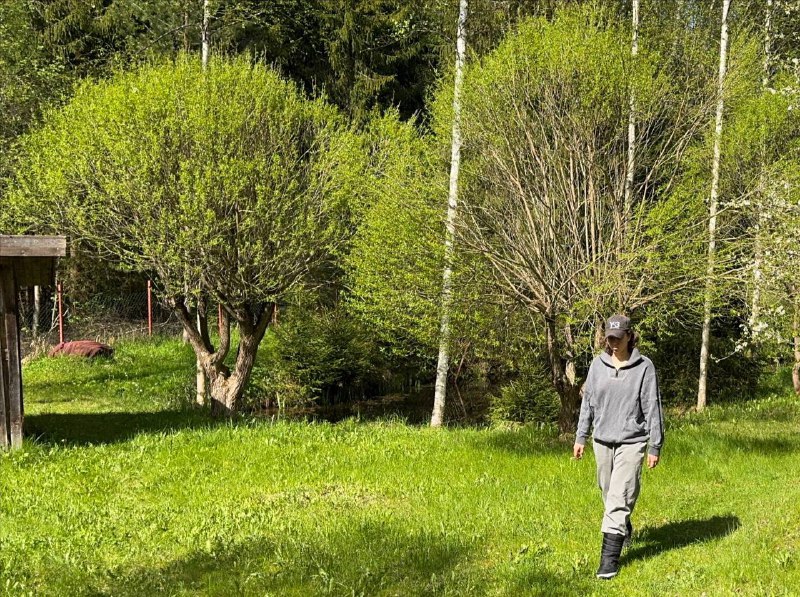 Уехала на выходные в место без связи — рай и испытание одновременноУехала на выходные в место без связи — рай и испытание одновременно