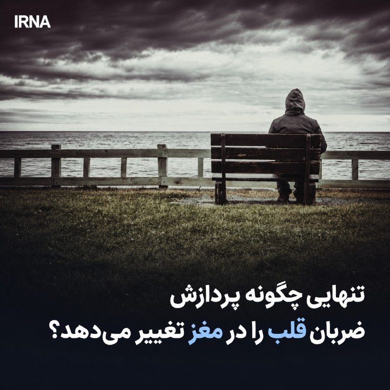 خبرگزاری ایرنا: 🔸 تنهایی چگونه پردازش ضربان قلب را در مغز تغییر میدهد؟🔹وبگاه مدیکال اکسپرس در گزارشی آورده است که یافتههای یک مطالعه ج