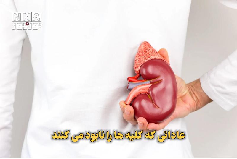 نورنیوز: ✅ عاداتی که کلیهها را نابود میکنند🔹 مشکلات کلیوی اغلب بدون درد و علامت است. پزشکان هشدار میدهند که برخی عادتهای روزم