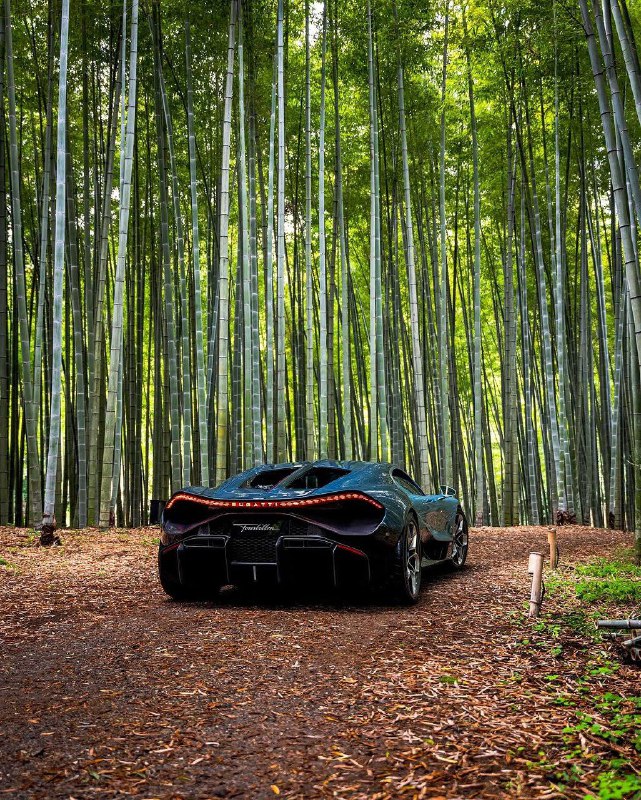 Bugatti Tourbillon 5