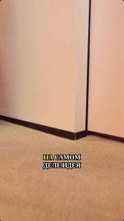 Скрытый плинтус vs алюминиевый уголок хитрость по защите окрашенных углов при уборке. МЫ В МАХ подписаться - изображение 1 - скрытый, плинтус, алюминиевый