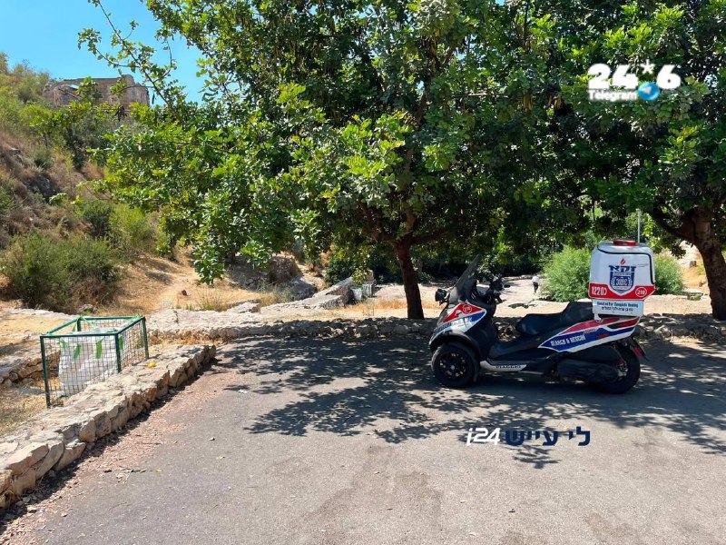 🇮🇱 גולגולת ועצמות אדם נמצאו במערה באזור יער ליפתא - המשטרה פתחה בחקירה.