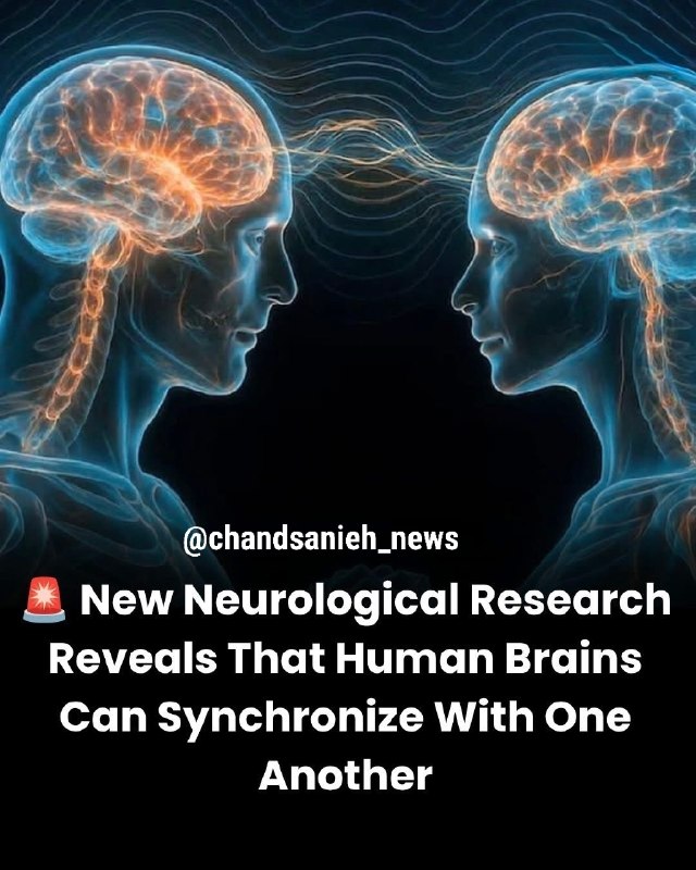تابناک | Tabnak | مکانیسم ماشه: ✅ پژوهشها نشان میدهند هنگام برقراری ارتباط عمیق میان افراد، فعالیت مغزی آنها دچار نوعی هماهنگی موقت میشود. این پدید