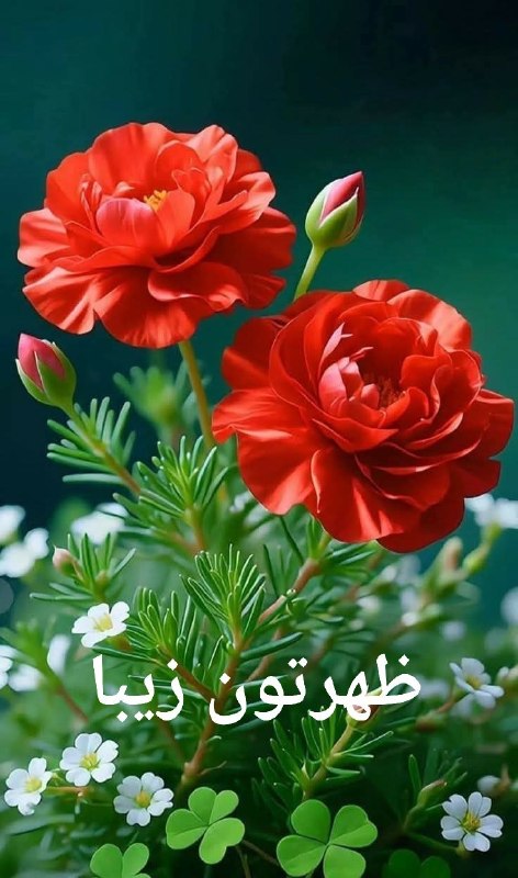 🍃﷽🍃 سنگ صبور🍃﷽🍃: ❤️سلام❤️ ظهر تون بخیر❤️امروزتون سر شار از ❤️خیر و سعادتمندی ❤️پراز عشق وامید❤️وسرشار از اتفاقهای عالی❤️ ظهر آدینه تون نو
