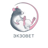 ExoVet_irk