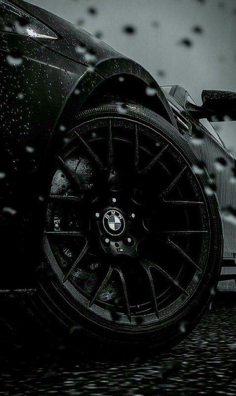BMW M Powerhttps://t.me/bmw_mpower_club#bmw #mpower #bmwmpower #bmwworld #bmwmpo
