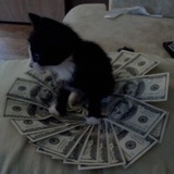 LvBudd