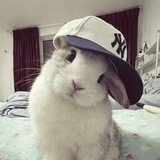 Блинокк 😋😋😋💘💘💘💘💘