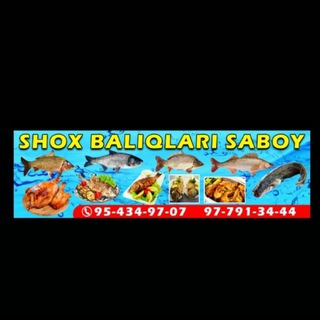 Shox baliqlar saboy🐟