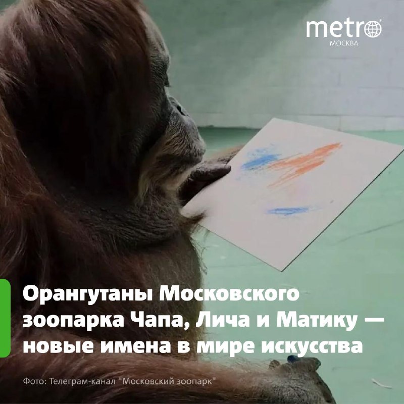 Image from a post by Metro Москва
