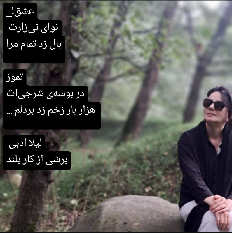 لیلا ادبی: ...تابستان زنی ست با لب های ترک خورده دور از هارمونی سبز بهارسمفونیبوسه باران هایشغرق دربیکران آبی چشم هامانبر پیکری معص