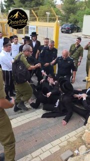 ענבר טויזר