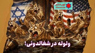 🎥 וולולה בשכלדוני&33;