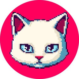 Telegram profile photo for TAPCAT